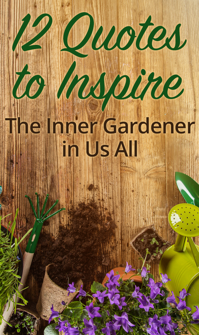 BACKYARD QUOTES image quotes at