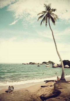 beachlife beachlife