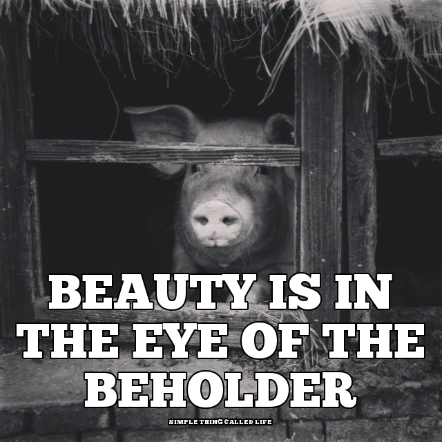 Beauty Is In The Eye Of The Beholder Essay