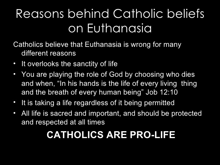 Proposal Argument Essay Bible Quotes About Matters Of Life And Death Image Quotes Computer Science Essay Topics also Sample Proposal Essay Essay On Euthanasia Ivoiregion Essay On Health Promotion