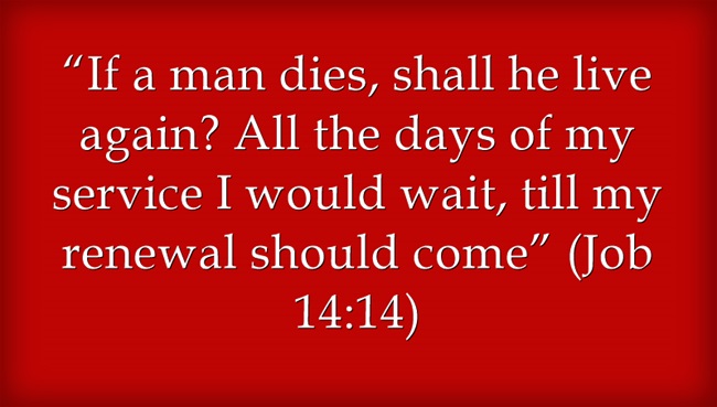 Imágenes De Bible Passages On Life After Death Classy Quotes About Life And Death Bible Imágenes De Bible Passages On Life After Death Classy Quotes About Life And Death Bible