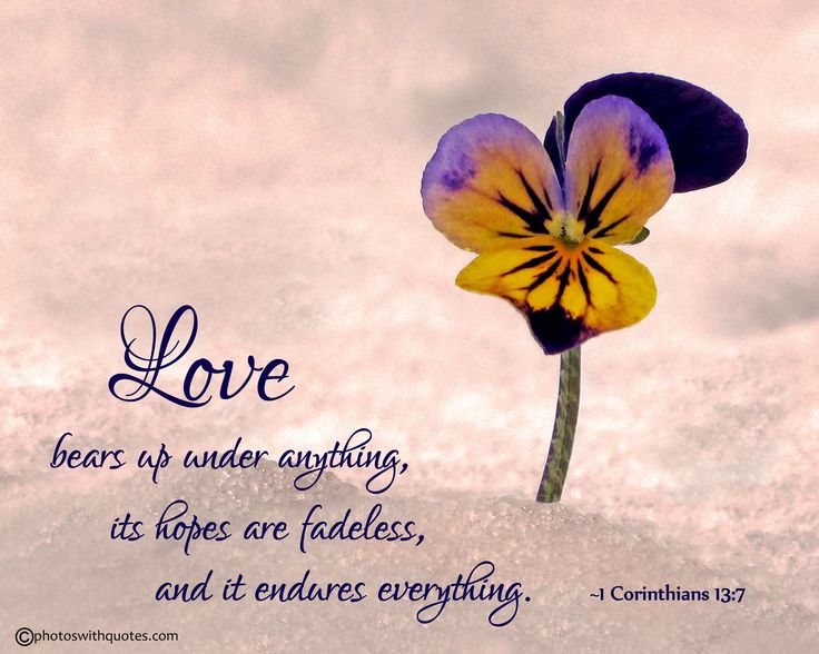 CHRISTIAN QUOTES FROM THE BIBLE ABOUT LOVE image quotes at ...