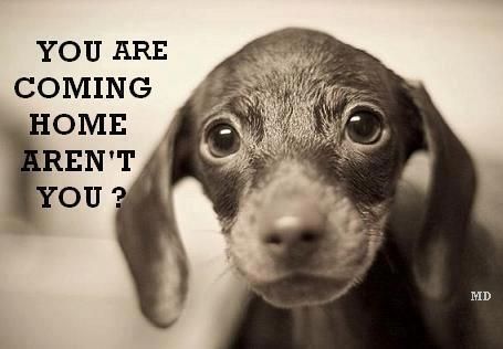 coming home quotes image quotes at relatably coming home quotes image quotes at relatably