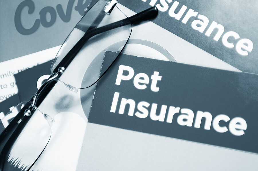 Compare Pet Insurance Quotes Australia 44billionlater Compare Pet Insurance Quotes Australia Image At Relatably Com