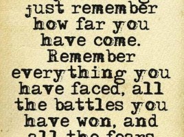 Courage Quotes And Sayings About Love Image At Relatably Source