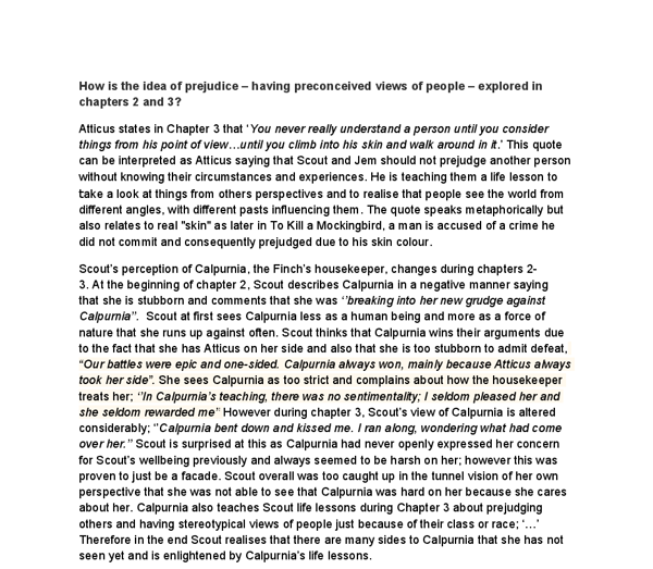 trial from calpurnias point of view essay trial from calpurnias point of view essay