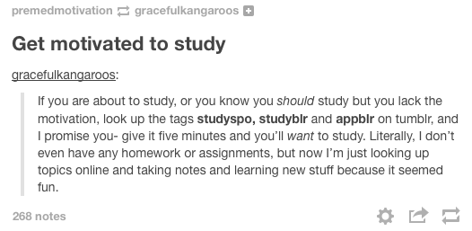 study motivation tumblr photography