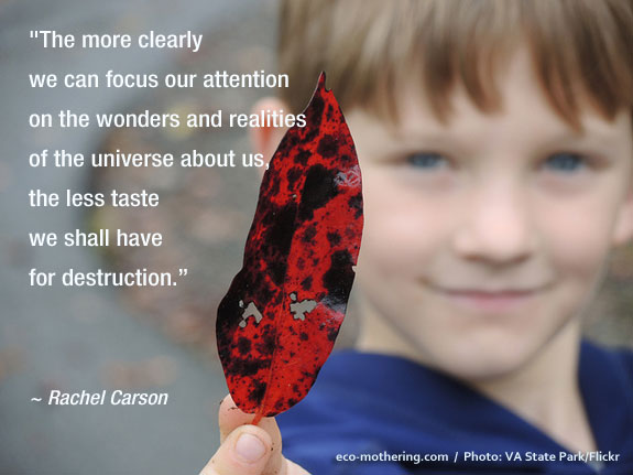 an analysis of rachel carson nick kelshs esay the sense of wonder A deliberate pace: on rachel carson in 1956 as an essay called “help your child to wonder”—was nick kelsh found an old copy of the sense of wonder. an analysis of rachel carson nick kelshs esay the sense of wonder A deliberate pace: on rachel carson in 1956 as an essay called “help your child to wonder”—was nick kelsh found an old copy of the sense of wonder.
