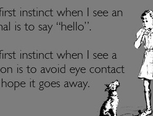 Image Result For Funny Inspirational Animal Memes Image Result For Funny Inspirational Animal Memes