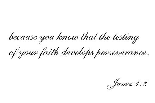 Short Faith Quotes Amusing Short Faith Quotes Mesmerizing 25 Short Fear Quotes Life Quotes Short Faith Quotes Amazing Short Faith Quotes Mesmerizing 25 Short Fear Quotes Life Quotes