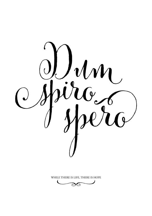famous latin quotes about life and death image quotes at famous latin quotes about life and death image quotes at