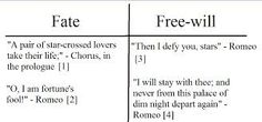 fate vs freedom essay fate vs freedom essay