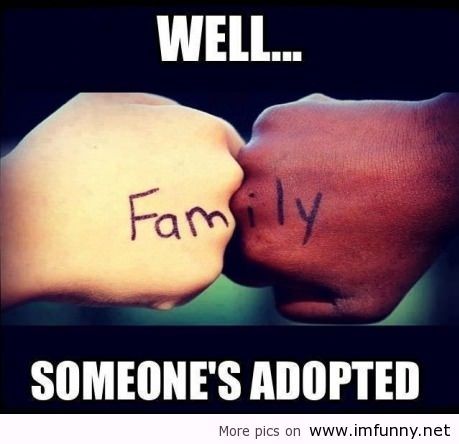 Funny Family Quotes For Facebook Image Quotes At Relatably Com Funny Family Quotes For Facebook Image Quotes At Relatably Com