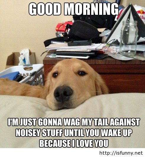 FUNNY GOOD MORN...