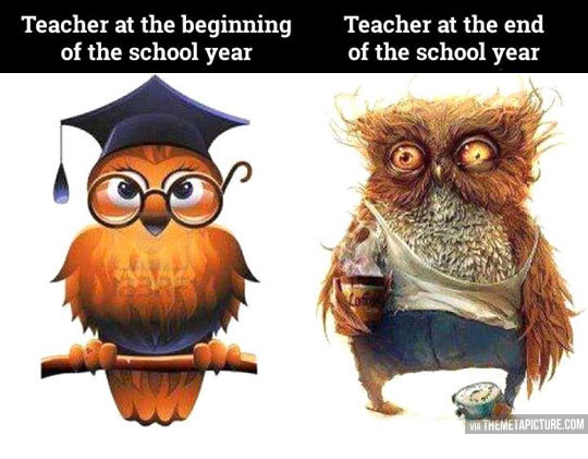 junior year of high school