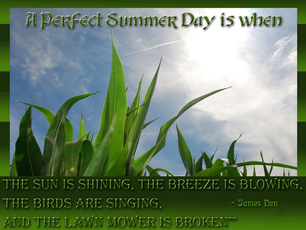 hot summer day funny images funny hot summer day quotes image quotes at relatably hot summer day funny images funny hot summer day quotes image quotes at relatably