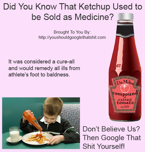 FUNNY KETCHUP QUOTES image quotes at