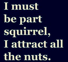 Funny dating profiles quotes