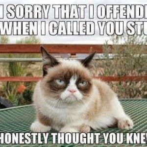 FUNNY QUOTES ABOUT CAT LOVERS image quotes at relatably.com