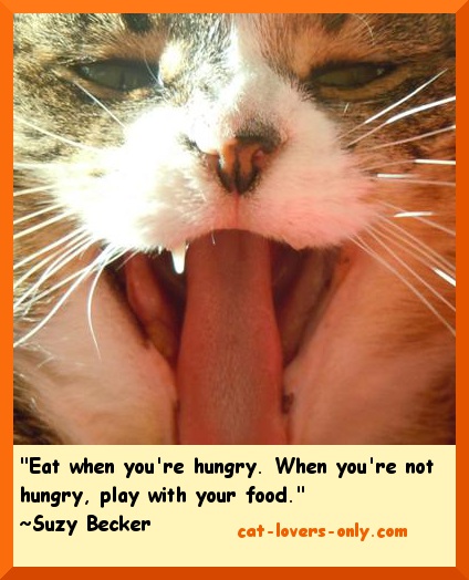 FUNNY QUOTES ABOUT CAT LOVERS image quotes at relatably.com