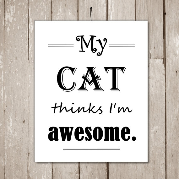 FUNNY QUOTES ABOUT CAT LOVERS image quotes at relatably.com