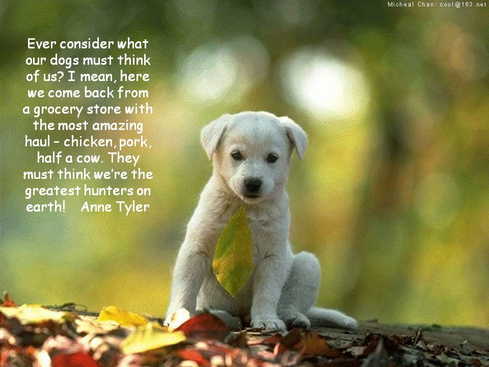 Dog Quotes Love Famous : Funny Quotes for Dog Lovers. Dog Quotes ...