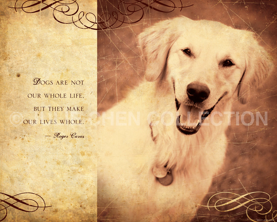 FUNNY QUOTES ABOUT DOG LOVERS image quotes at relatably.com