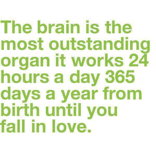 FUNNY QUOTES AND SAYINGS ABOUT LOVE image quotes at relatably.com