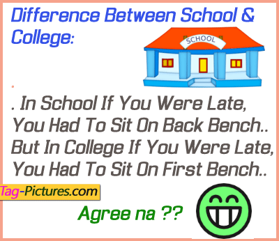 essay school life and college life essay school life and college life