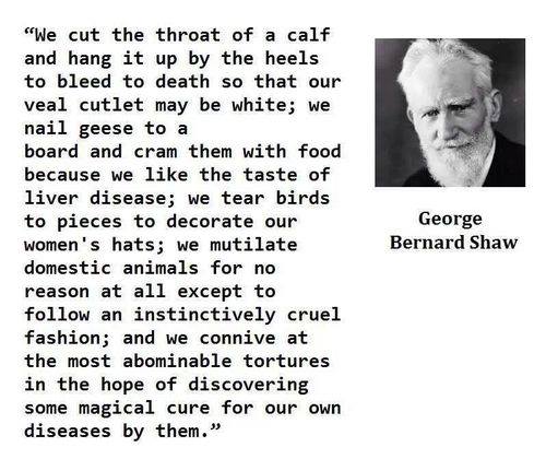 essay by george bernard shaw essay by george bernard shaw