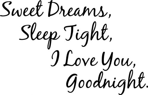 GOODNIGHT LOVE QUOTES FOR HIM TUMBLR image quotes at relatably.com