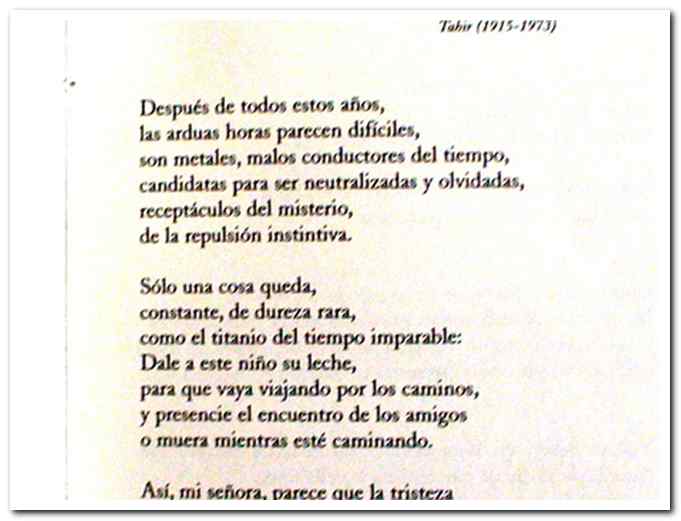 Grandma Quotes In Spanish Happy birthday quotes for her in spanish ...