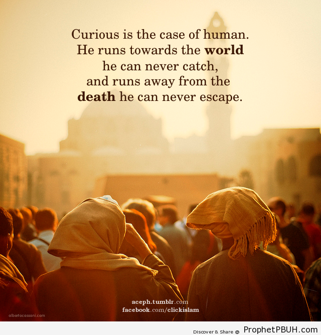 Image Result For Short Inspirational Islamic Quotes Image Result For Short Inspirational Islamic Quotes