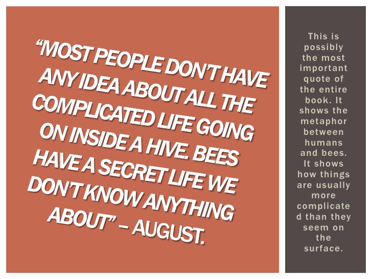 The secret life of bees essay