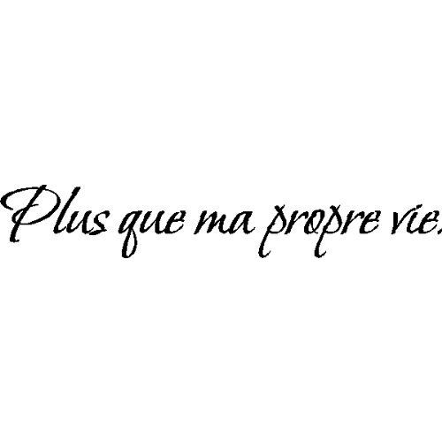 INSPIRATIONAL QUOTES ABOUT LIFE IN FRENCH image quotes at relatably ...