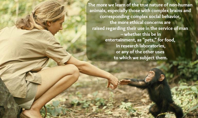 JANE GOODALL QUOTES image quotes at relatably.com JANE GOODALL QUOTES image quotes at relatably.com