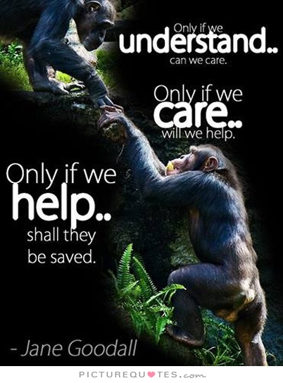 JANE GOODALL QUOTES image quotes at relatably.com