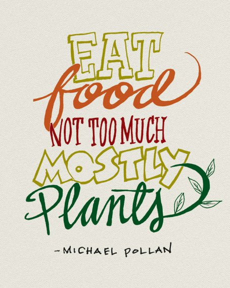 Michael Pollan Food Rules Eat Food Not Too Much Michael Pollan Food Rules Eat Food Not Too Much