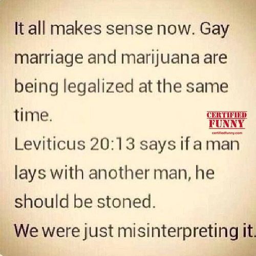 gay boys first fuck from Hamza dear christians funny gay