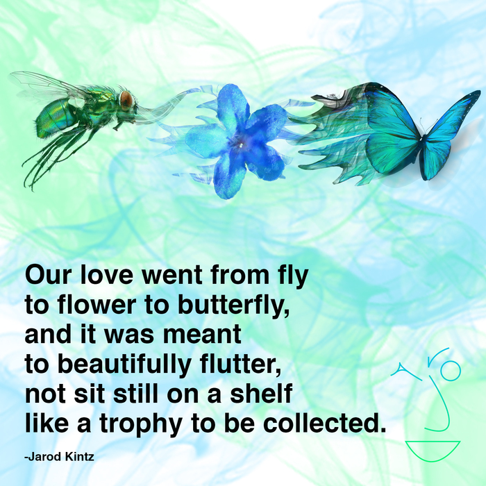 MOTHS AND BUTTERFLIES QUOTES image quotes at