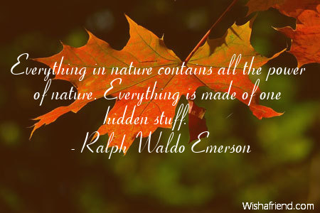 Nature Essay Emerson Quotes