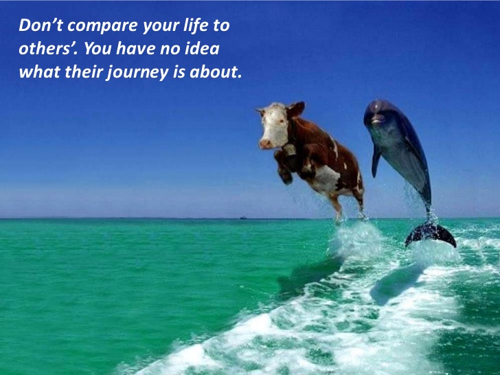 Picture Inspirational Quotes About Life Magnificent Funny Inspirational Quotes About Life Lessons Picture Inspirational Quotes About Life New Funny Inspirational Quotes About Life Lessons