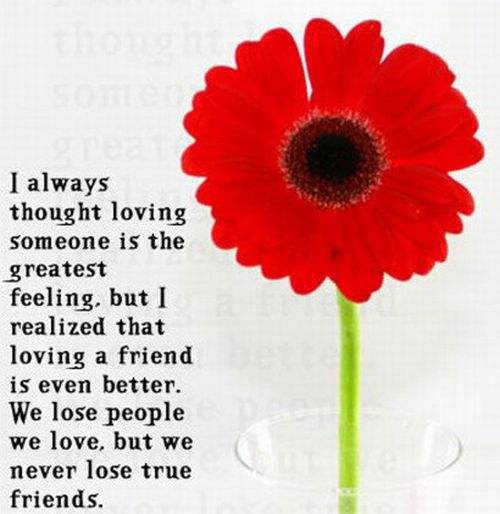 QUOTES ABOUT LOVE AND FRIENDSHIP FOR FAcEBOOK image quotes at relatably.com