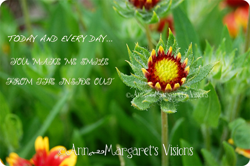 Image Result For Inspirational Quotes Using Flowers Image Result For Inspirational Quotes Using Flowers