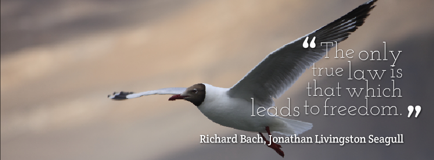 the adventurous seagulls life in richard bachs jonathan livingston seagull See more ideas about jonathan livingston seagull, richard bach quotes and illusions richard bach sits a tiny little adventures bird my birdie wants to adventure all the time a beautiful lifeseuss quote renfro think we could do this in dr seuss find this pin and more on seagulls. the adventurous seagulls life in richard bachs jonathan livingston seagull See more ideas about jonathan livingston seagull, richard bach quotes and illusions richard bach sits a tiny little adventures bird my birdie wants to adventure all the time a beautiful lifeseuss quote renfro think we could do this in dr seuss find this pin and more on seagulls.