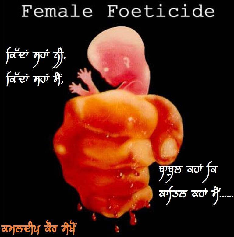 female foticide essay More essay examples on abortion rubric india is losing almost 7,000 girls daily because of the traditional preference for sons which cause many people to abort female foetuses however, recent un and indian studies reveal that female foeticide is today most frequent among the rich and highly educated. female foticide essay More essay examples on abortion rubric india is losing almost 7,000 girls daily because of the traditional preference for sons which cause many people to abort female foetuses however, recent un and indian studies reveal that female foeticide is today most frequent among the rich and highly educated.
