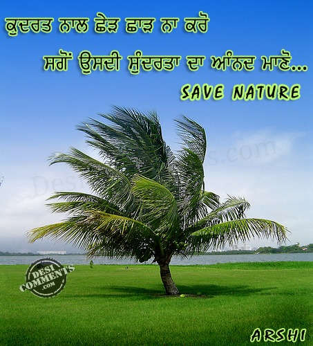 save trees save nature essay How you can save paper save paper, save money, save forests pdf 75 kb when you work with wwf to build a future in which humans live in harmony with nature. save trees save nature essay How you can save paper save paper, save money, save forests pdf 75 kb when you work with wwf to build a future in which humans live in harmony with nature.