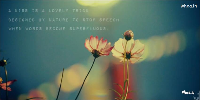 QUOTES WALLPAPERS FOR Pc FREE DOWNLOAD image quotes at relatably.com