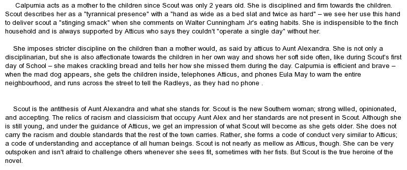 to kill a mockingbird critical essay