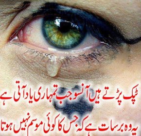 SAD QUOTES ABOUT LIFE AND PAIN OF LOVE IN URDU image quotes at ...